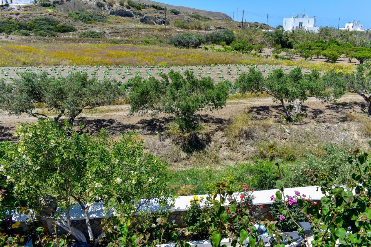 Pergola Ξενοδοχείο Πολλώνια Εξωτερικό φωτογραφία